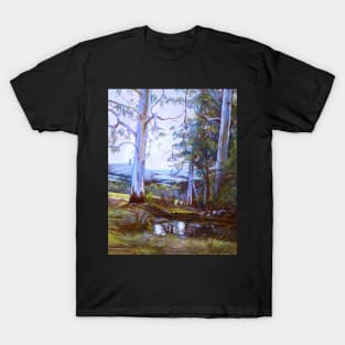 By Heysen's Pool T-Shirt